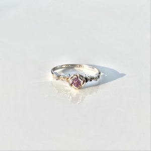 R0019-ROSE