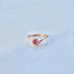 R0005-ROSE