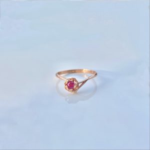 R0005-ROSE