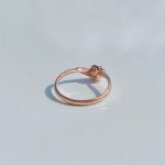 R0005-ROSE