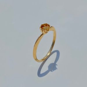 R0026-CRP