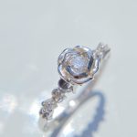 R0015-ROSE